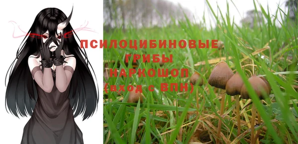 прущий лед Абаза