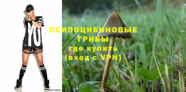стафф Аркадак