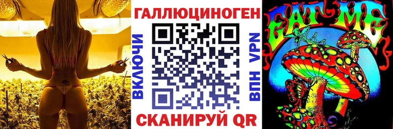 Псилоцибиновые грибы GOLDEN TEACHER  Петров Вал 